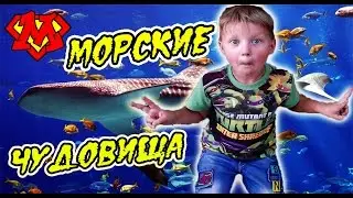 SuperMax и ОГРОМНЫЙ АКВАРИУМ С ЧУДОВИЩАМИ