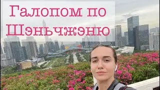 Я снова в Шэньчжэне