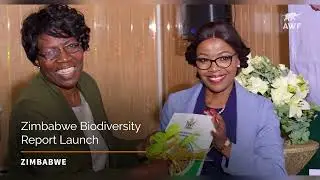 AWF 2023 Year End Video