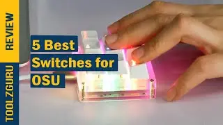 Best Switches for OSU On 2024