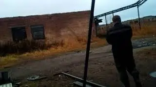 Манки на белолобого гуся