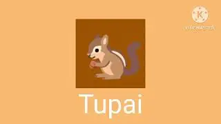 Tupai Logo (2026)