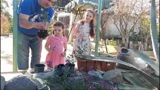 сажаем розы с детьми