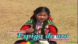 CONJUNTO ESPIGA DE ORO (ANITA DEL SUR) / QUEJAS DE MI SOLEDAD
