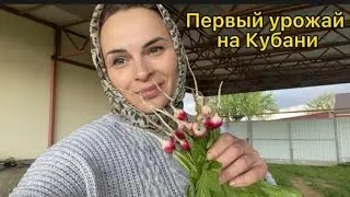 428❤️ Любимый дом на Кубани! Подстраиваемся под погоду. Почему муж не дарит букеты💕
