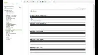 Interactive Reporting - Getting Started Interactive Reporting