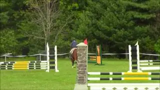 Fenway Norfolk Hunt Show May 2014