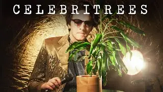 what if trees are reincarnated dead celebrities