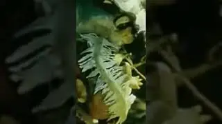 14 июня.