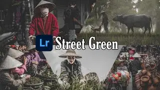 Street Green Lightroom Mobile Preest Lightroom Presets DNG Free Download Aayush photography