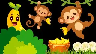 Baby Sensory Video - High Contrast - Sensory Videos for Babies - Visual Stimulation for Newborn