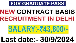 IN DELHI | SALARY 43800 | FOR GRADUATE PASS || NEW CONTRACT BASIS GOVERNMENT RECRUITMENT 2024