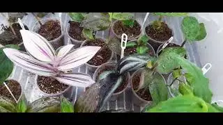 🌺Новинки коллекции на сезон 2024‼️‼️Распаковка ,обзор посылки,моя мечта о череночке сбылась❗❗❗