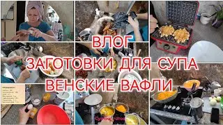 МОТИВАЦИЯ НА ГОТОВКУ / РЕЦЕПТ ВЕНСКИХ ВАФЕЛЬ / ЗАГОТОВКИ ДЛЯ СУПОВ / 4 мая 2024 г.