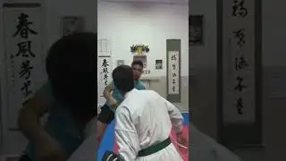 kyokushin round kick #karate