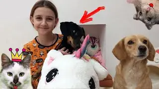 Моё субботнее утро Лиза и питомцы видео для детей