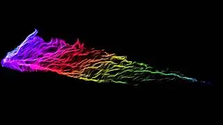 Les Elephants Bizarres - In Culori (Jeanov remix)