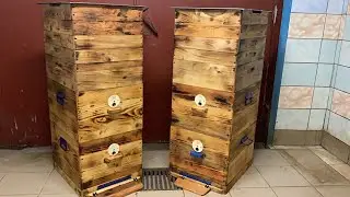 Как я крашу улья своими руками