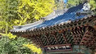 #구례 #화엄사의 가을풍경