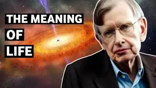 Stephen Hawking: Exploring the Universe with a Brilliant Mind