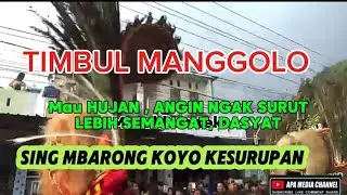 TIMBUL MANGGOLO,, SENAJAN AREP UDAN, ANGINE KUATT RA SURUT BARONGE MALAH DASYATT,LEHER BETON !!JOS👍🏻