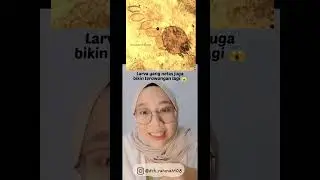 Scabies Pada Hewan Kucing Dapat Menular Ke Manusia | Dokter Hewan | Shorts