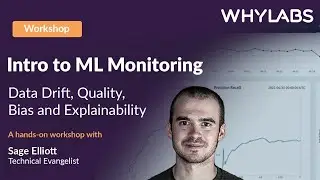 Intro to ML Monitoring: Data Drift, Quality, Bias and Explainability