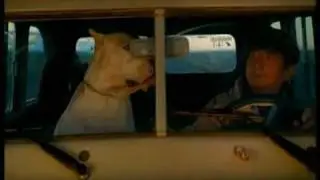 Kramer & Sigman Films - El Perro / Bombón, El Perro. Trailer.