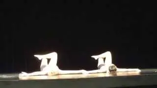 SFHS Dance Team Closing Ceremony 2013- Don't Wake Me Up