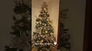 Encantada #natal #amonatal #natal2023 #decor