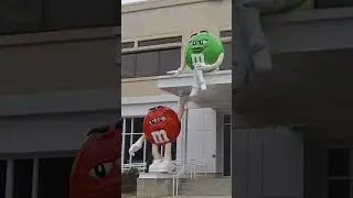 Fun Fact Bees Make Honey From M&M's 