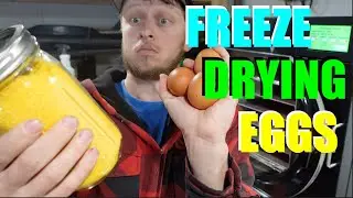 How To Freeze Dry Eggs | Freeze Drying Raw Eggs