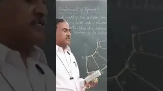 Development of Square Pyramid/ Engineering Drawing