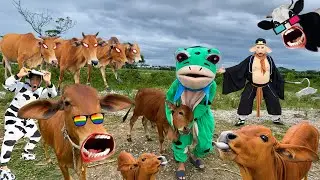 Con bò - Con bò con - Nhạc con bò - Con bò ăn cỏ - Bài hát con bò - Nhạc parody con bò @longbop