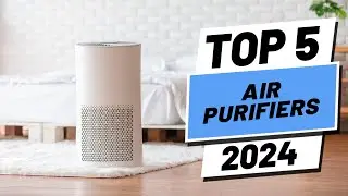 Top 5 BEST Air Purifiers in (2024)