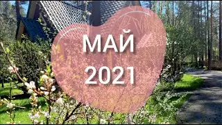 Горный Алтай на Fjr 1300. МАЙ 2021.