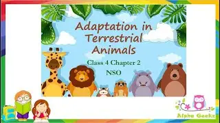 Adaptations in Terrestrial Animals - Module 2.2 (Chapter 2 - Olympiad Class 4 Science)