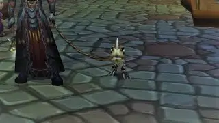 Dal Pet vendor WOTLK