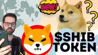 SHIB Coin - To Follow DOGE COIN? HYPE? SHIBA