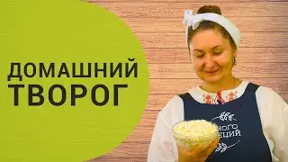Домашний творог
