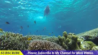 How to Create scrolling text On video through Kine Master Android Version 