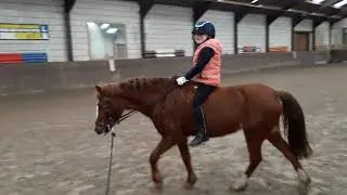 Zonder zaadel rijden!?🐎🐴love pony