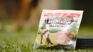 Purina - Adventuros Promo (2024)