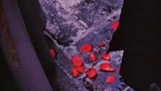 Tropic Of Cancer - "Fall Apart" (Death In June cover)
