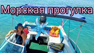 Морская прогулка/жизнь на юге.