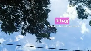 Vlog l Embu das artes con a mamis l Demarto l Ophthalmologist l Market l Rotinha e +
