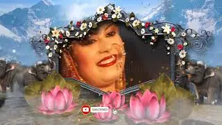3d edius fx dreg and drop 2024 ! 3d drag and drop effects for edius download! Edius New 3d Effects!