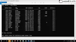 65-Data Manipulation Language (DML) - Update