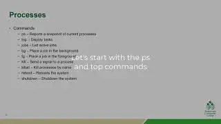 Linux Fundamentals 6.1: Processes