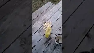 Чайная пауза. Рыбачим на Двине